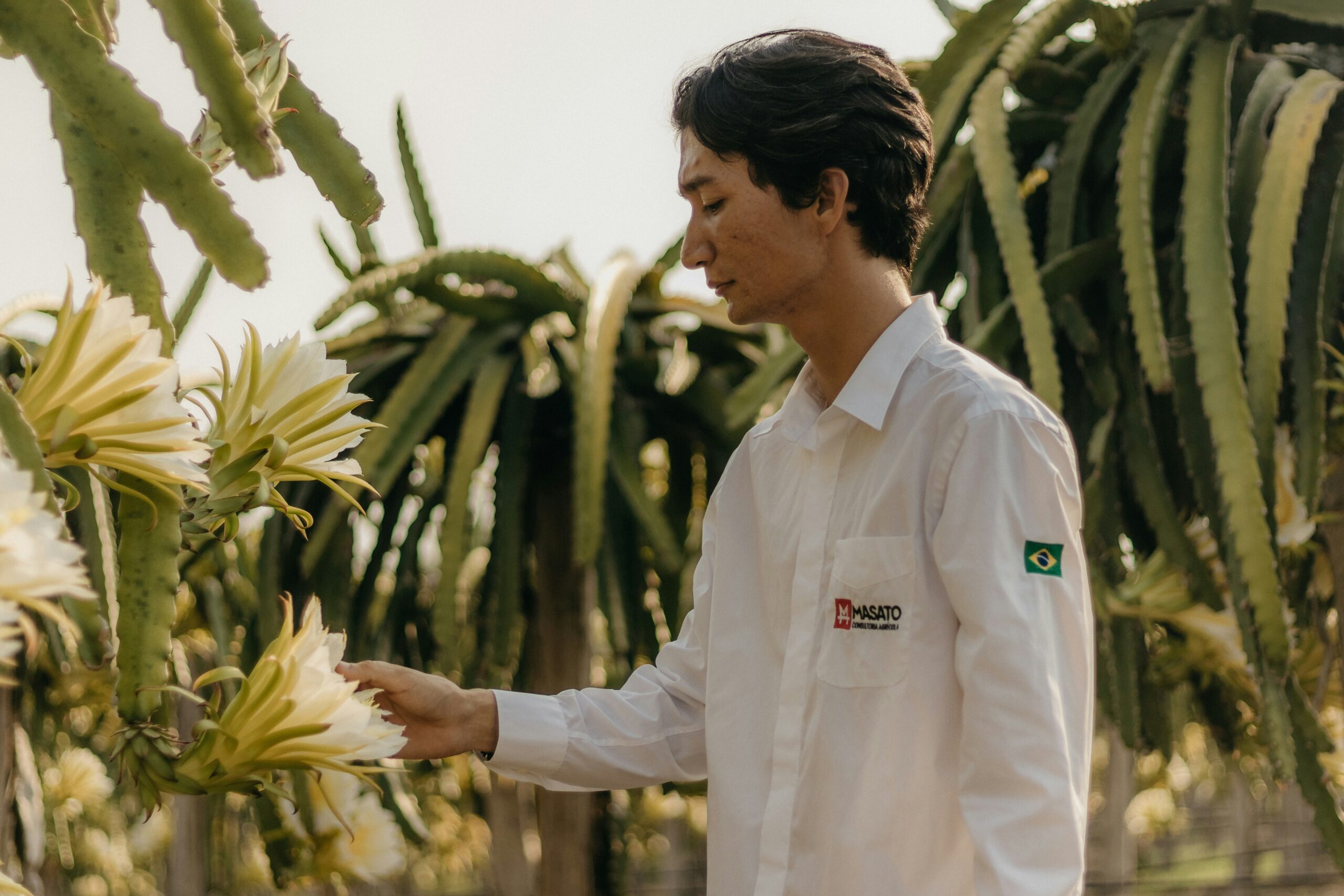 kawe-rodrigues-K0Z2H1kTbhI-unsplash