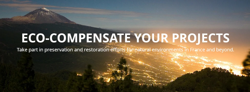 light pollution_ECO-COMPENSATE light pollution ECO COMPENSATE