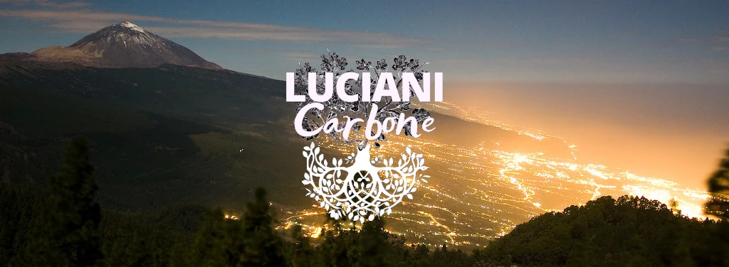 light pollution_carbone
