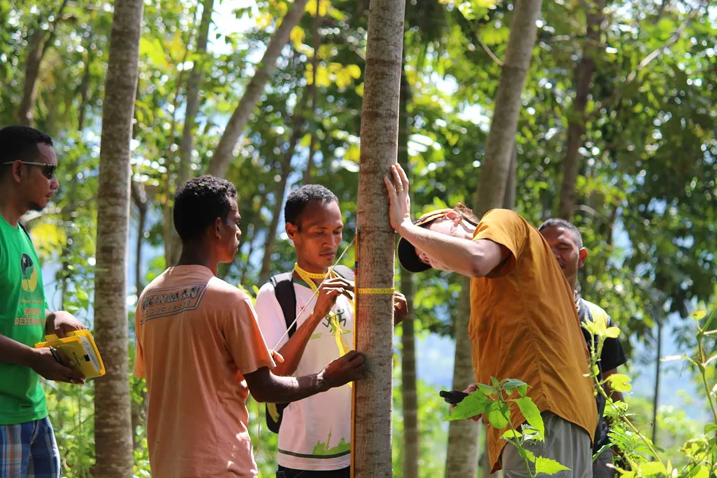 reforestation